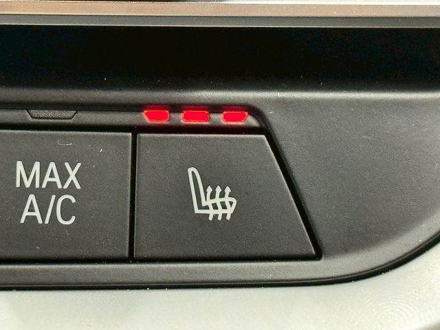 BMW&nbsp;3Series Sedanの画像8