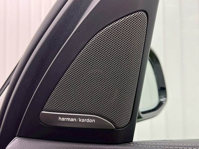 X5xDrive35d M Sport エアサスペンション 内装他