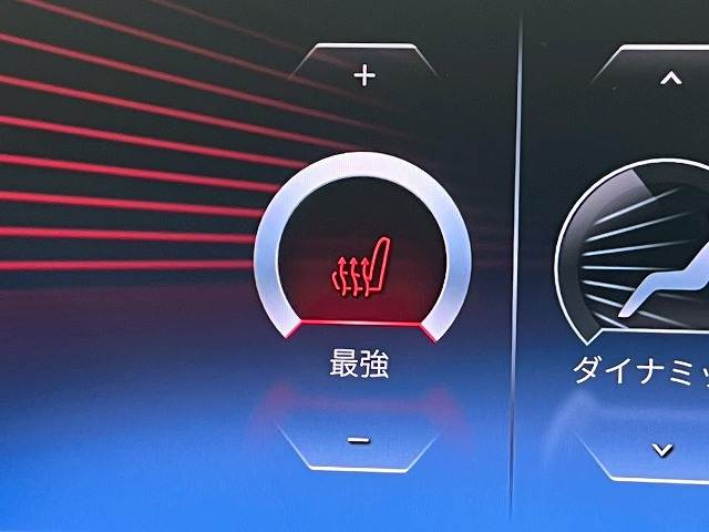 BMW&nbsp;3Series Sedanの画像7