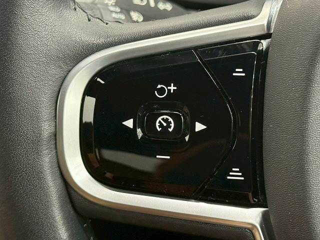 V90D4 Momentum 内装他