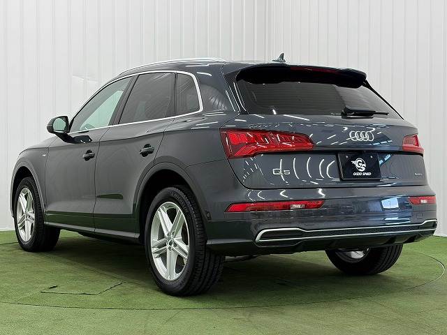 アウディ Q5の画像17