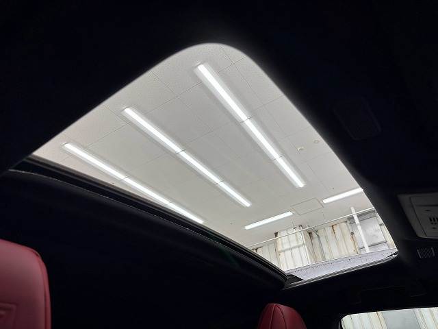 ESES300h “F SPORT” 内装他