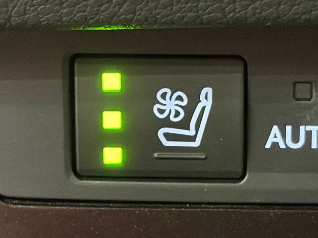 レクサス&nbsp;ESの画像10