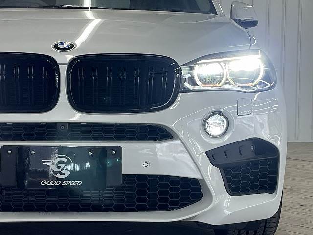 BMW X5の画像19