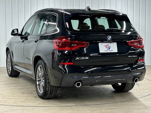 BMW X3の画像16