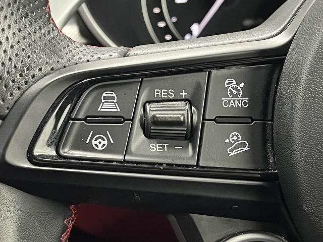 アルファロメオ Stelvioの画像12