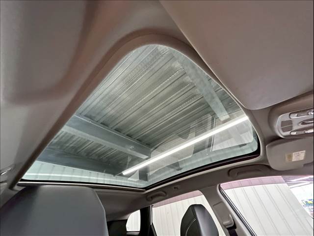 KADJARボーズ 内装他