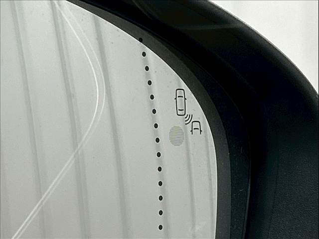 CAPTURインテンス テックパック 内装他