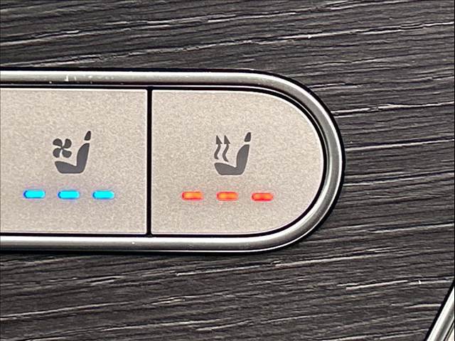 メルセデス・ベンツ GLE-CLASS Coupeの画像10