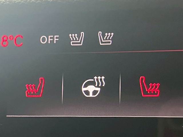 シトロエン DS4の画像10