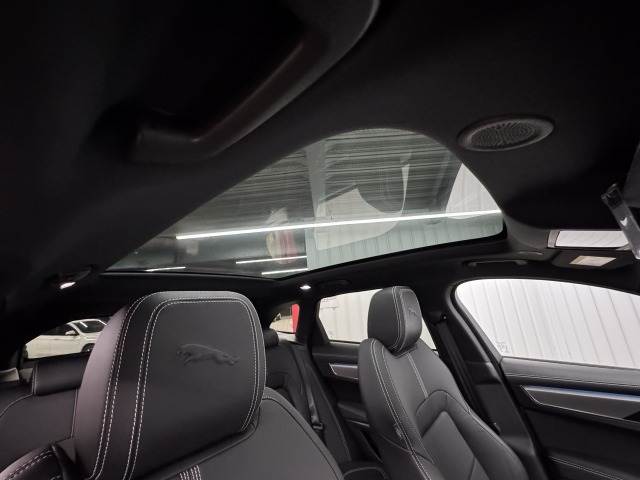 F-PACER-DYNAMIC SE 内装他