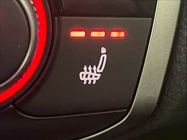 アウディ Q3の画像10