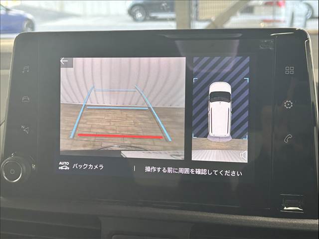 BERLINGOSHINE Blue HDi 内装他