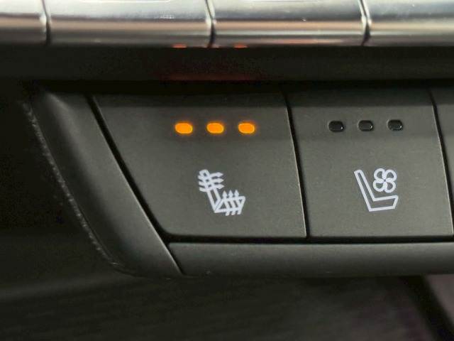 キャデラック&nbsp;その他の画像9