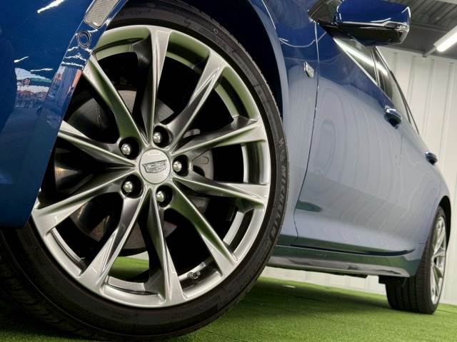 キャデラック&nbsp;その他の画像19