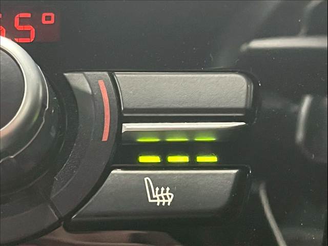 BMW&nbsp;X4の画像9