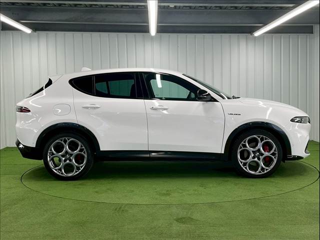 アルファロメオ Tonaleの画像15