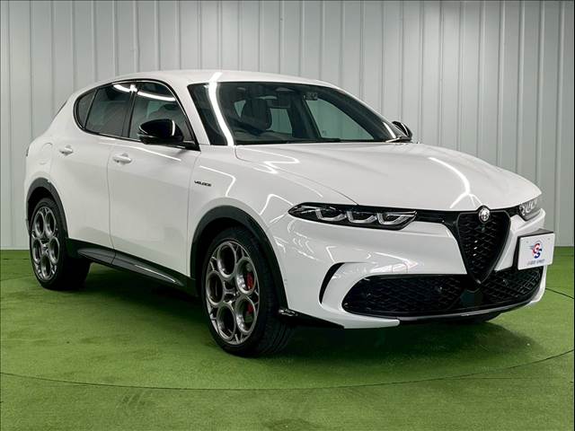 アルファロメオ Tonaleの画像16