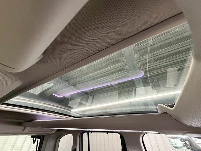 BERLINGOSHINE Blue HDi XTR PACK 内装他