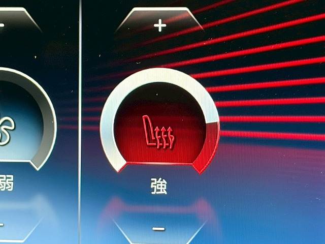 BMW&nbsp;X1の画像10