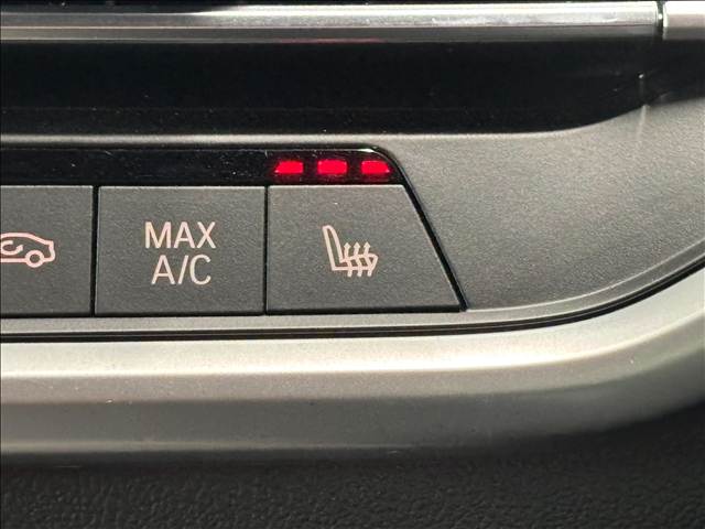 BMW X5の画像10