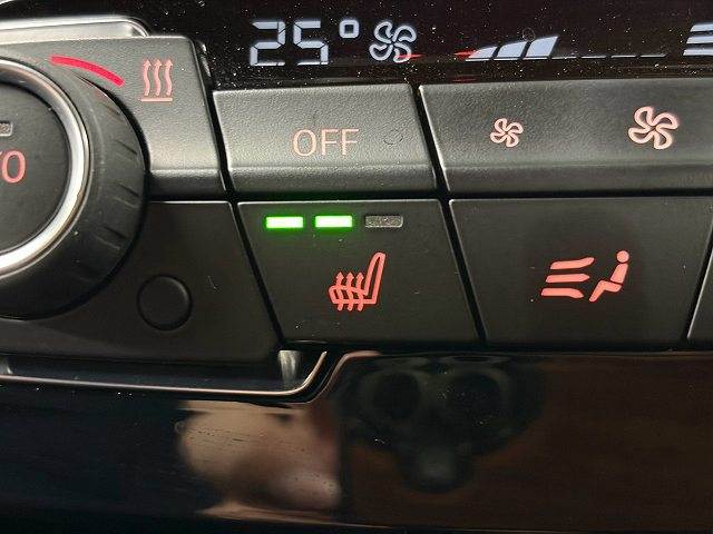 BMW&nbsp;X1の画像5