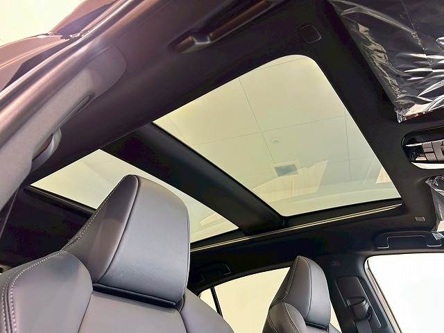 ハリアーZ 内装他