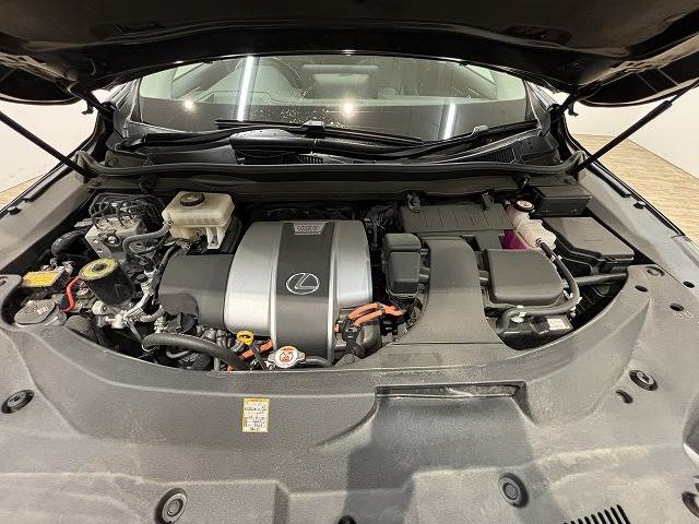 レクサス RXの画像20