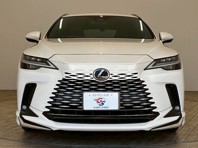 レクサス RXの画像12