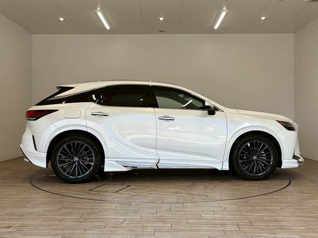 レクサス RXの画像14