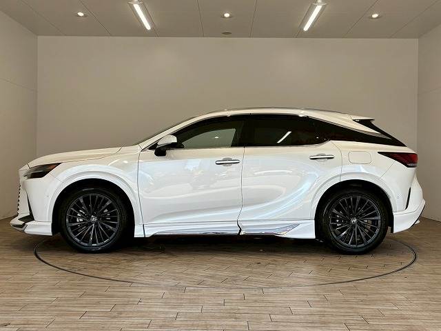 レクサス RXの画像15