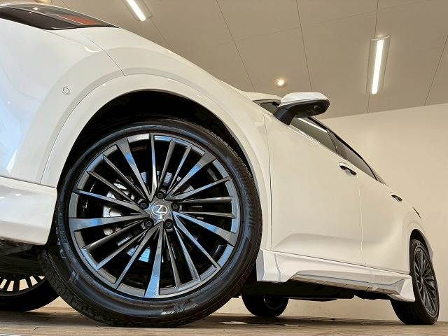 レクサス RXの画像19