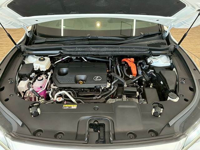 レクサス RXの画像20