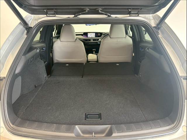 レクサス&nbsp;UXの画像11