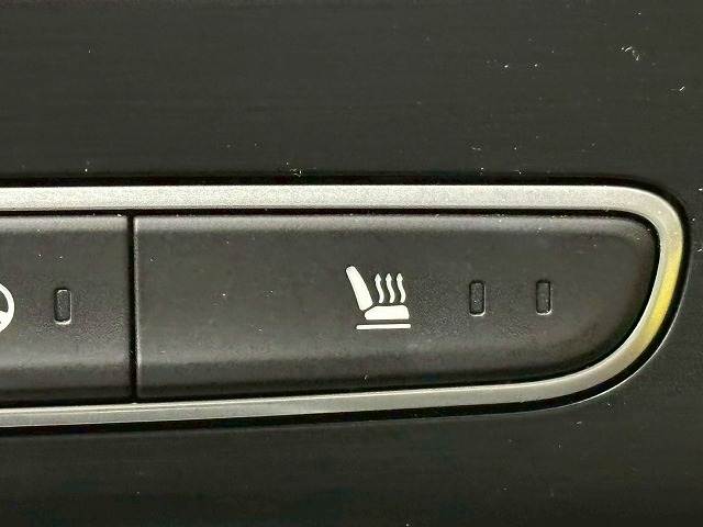 MEGANEGT RHD 内装他