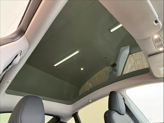 Model YRWD 内装他