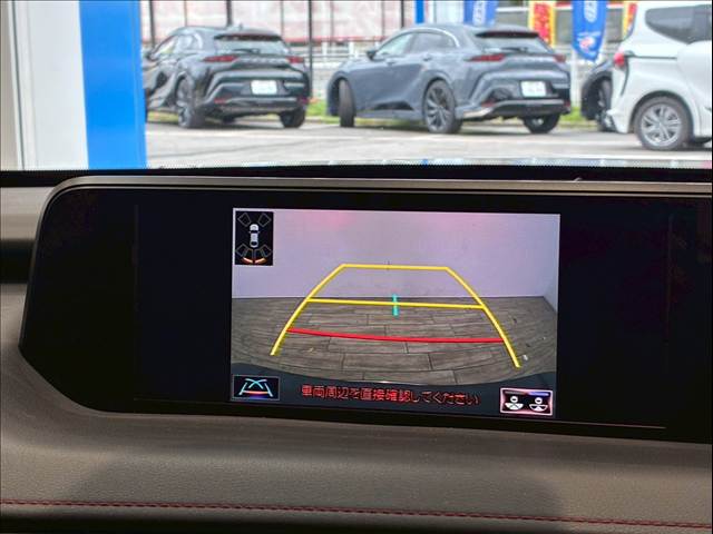 UXUX250h“F SPORT” 内装他