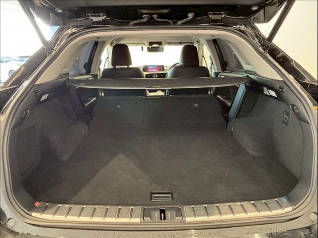 レクサス RXの画像11