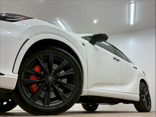 レクサス RXの画像18