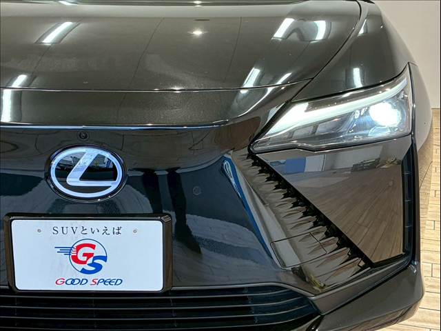 レクサス RZの画像18