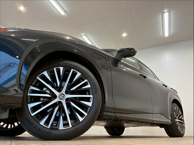 レクサス RZの画像19