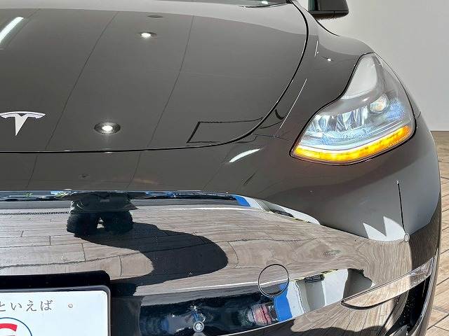 テスラ Model Yの画像19