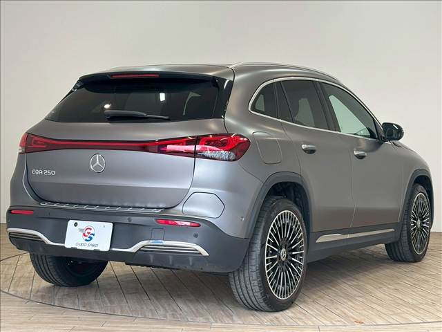 メルセデス・ベンツ EQAの画像16