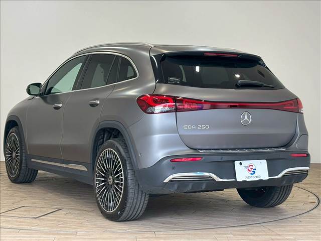 メルセデス・ベンツ EQAの画像17