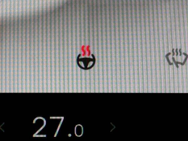テスラ Model 3の画像8