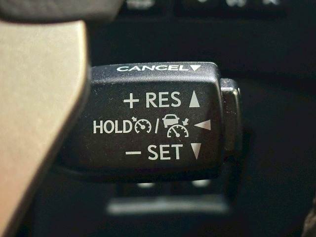 NXNX300h “version L” 内装他