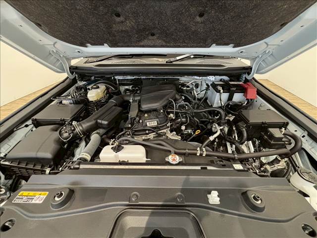 トヨタ ランドクルーザー250の画像20