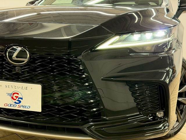レクサス&nbsp;RXの画像11
