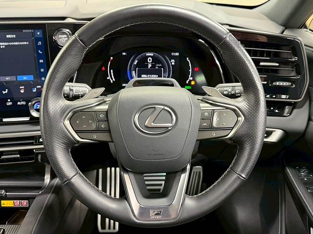 レクサス&nbsp;RXの画像14
