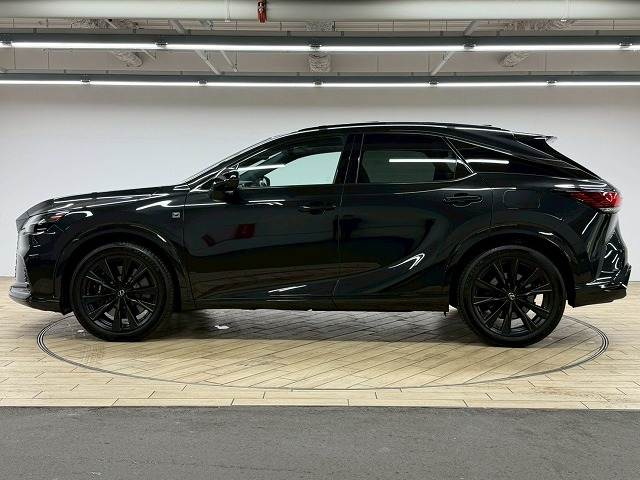 レクサス&nbsp;RXの画像18